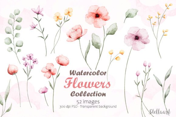 Download Watercolor Flowers Collection - Watercolor flowers Collection
